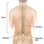 Pain is something almost everyone encounters — from everyday headaches to more complex conditions like arthritis or muscle strains.