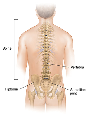Pain is something almost everyone encounters — from everyday headaches to more complex conditions like arthritis or muscle strains.