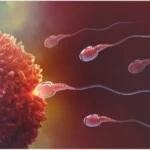 IVF Specialist in Bangalore