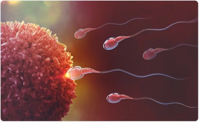 IVF Specialist in Bangalore
